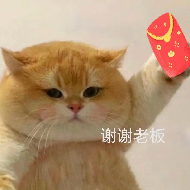 领红包回复表情包_收到红包回表情包，轻松谢意，有趣互动！