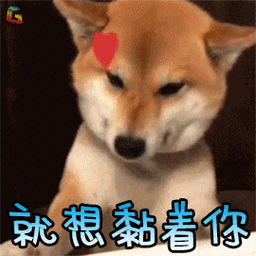 韩国忠诚表情包GIF_金正恩脸，爱国爱橙正流行