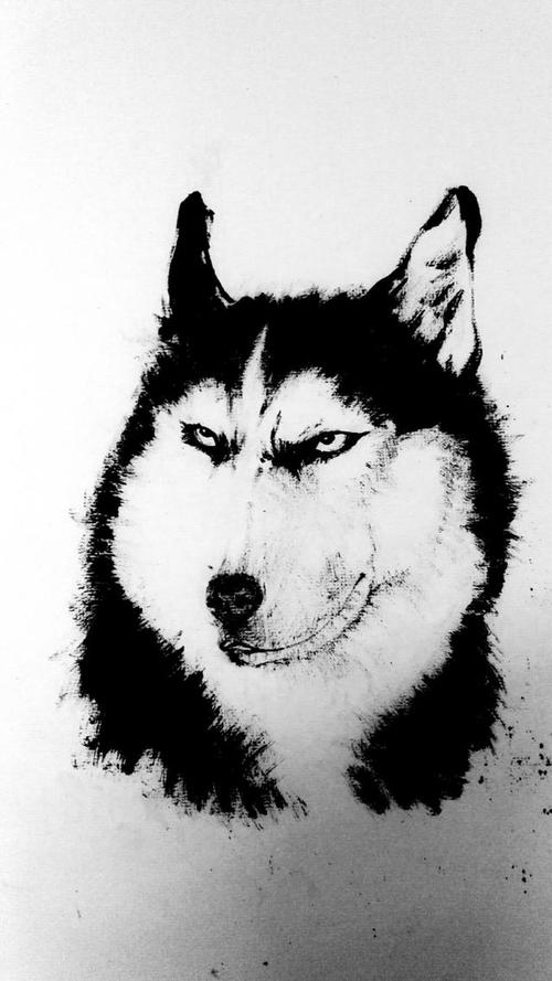 二哈狗头指人图_二哈狗头指人表情包疯传，萌又吓人成搞笑担当！