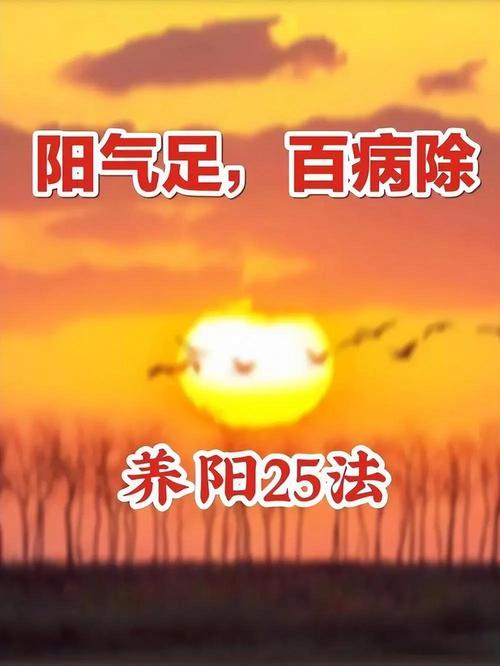 提升阳气的图片大全_看阳光运动提阳气，身体暖和有活力