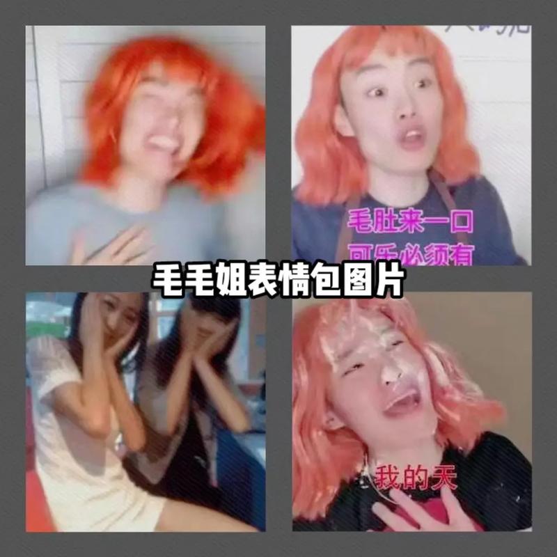 毛毛姐经典表情包_毛毛姐表情包，聊天分享必备，超有趣！