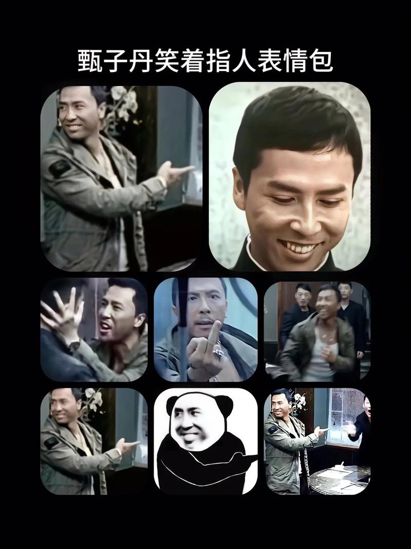 甄子丹转头指人表情包_甄子丹搞笑表情图，聊天自嘲必备